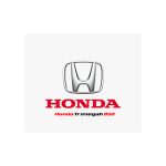 Sales Consultant - Honda Trimegah BSD