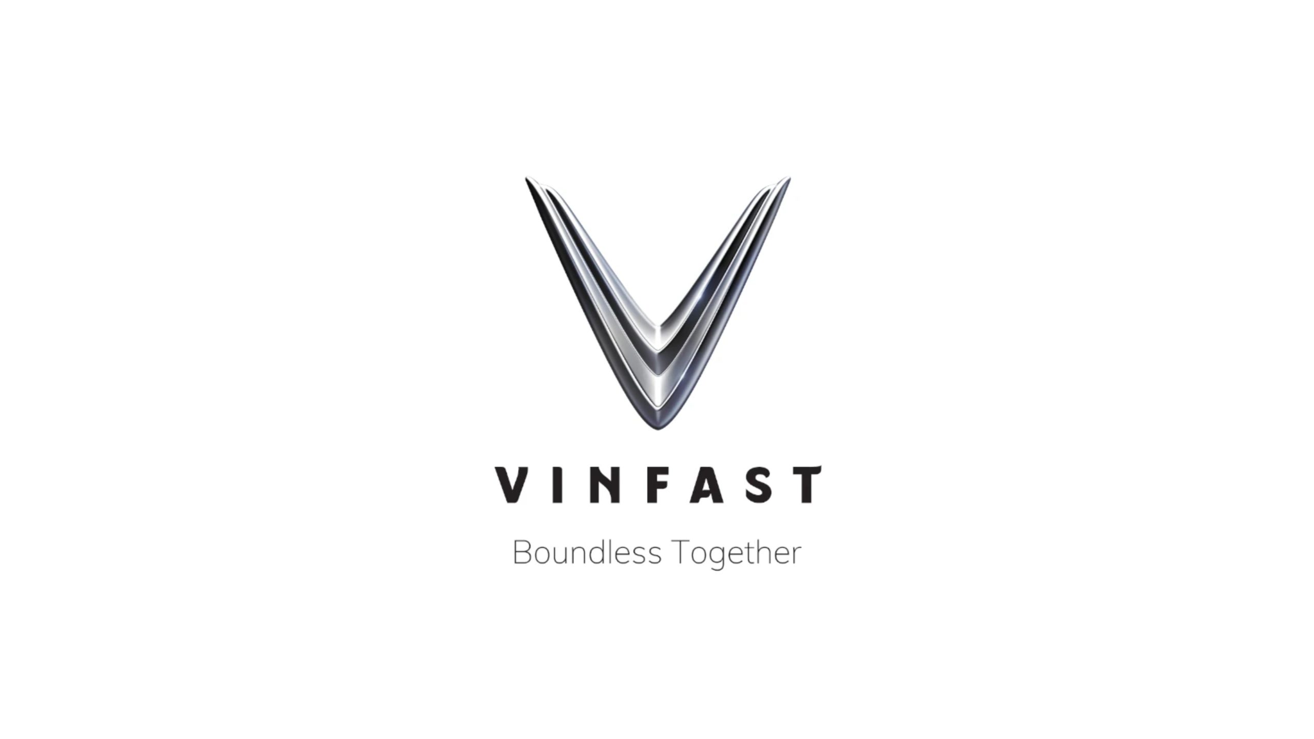 Strategic Sourcing Lead – Vinfast